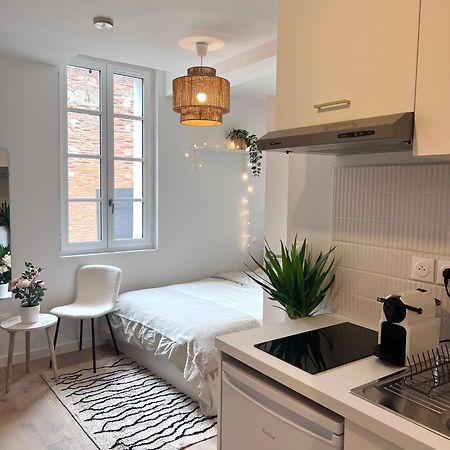 Le Saphir Apartment Toulouse Exterior photo