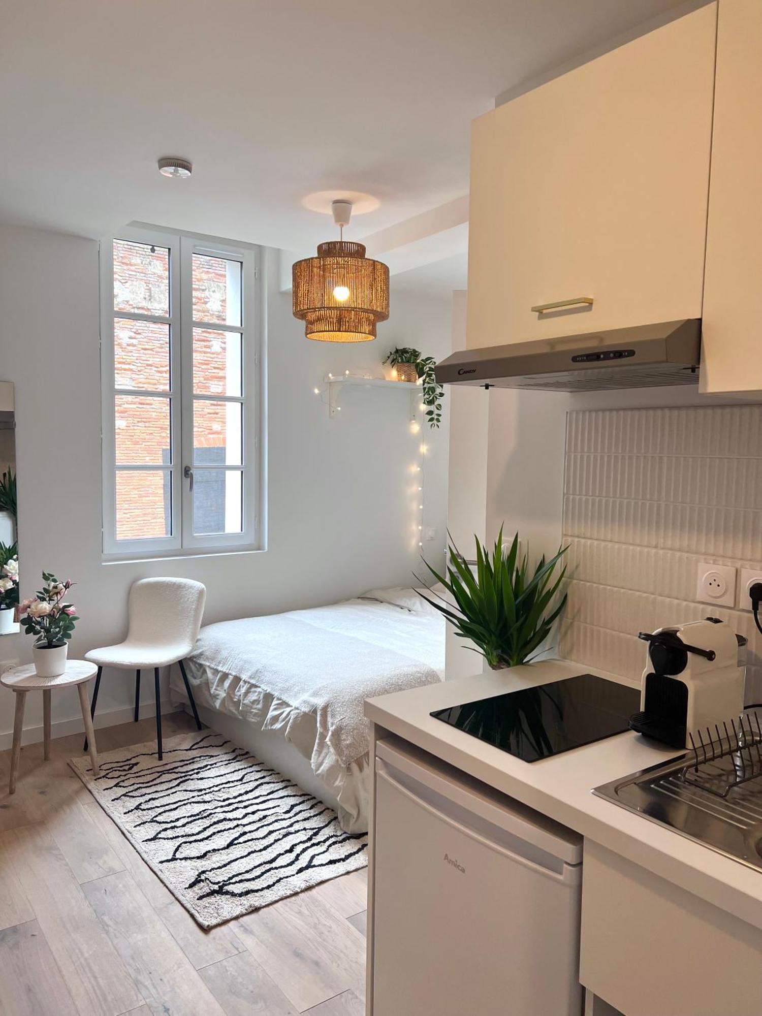 Le Saphir Apartment Toulouse Exterior photo