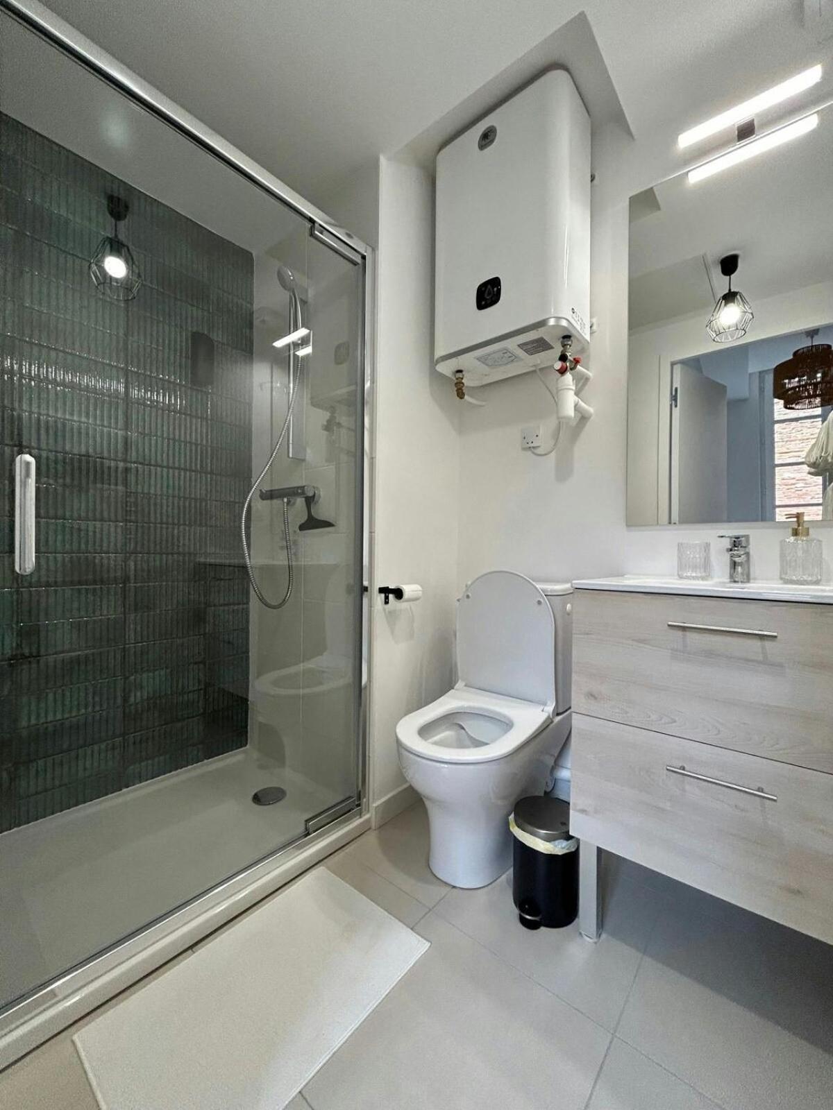 Le Saphir Apartment Toulouse Exterior photo