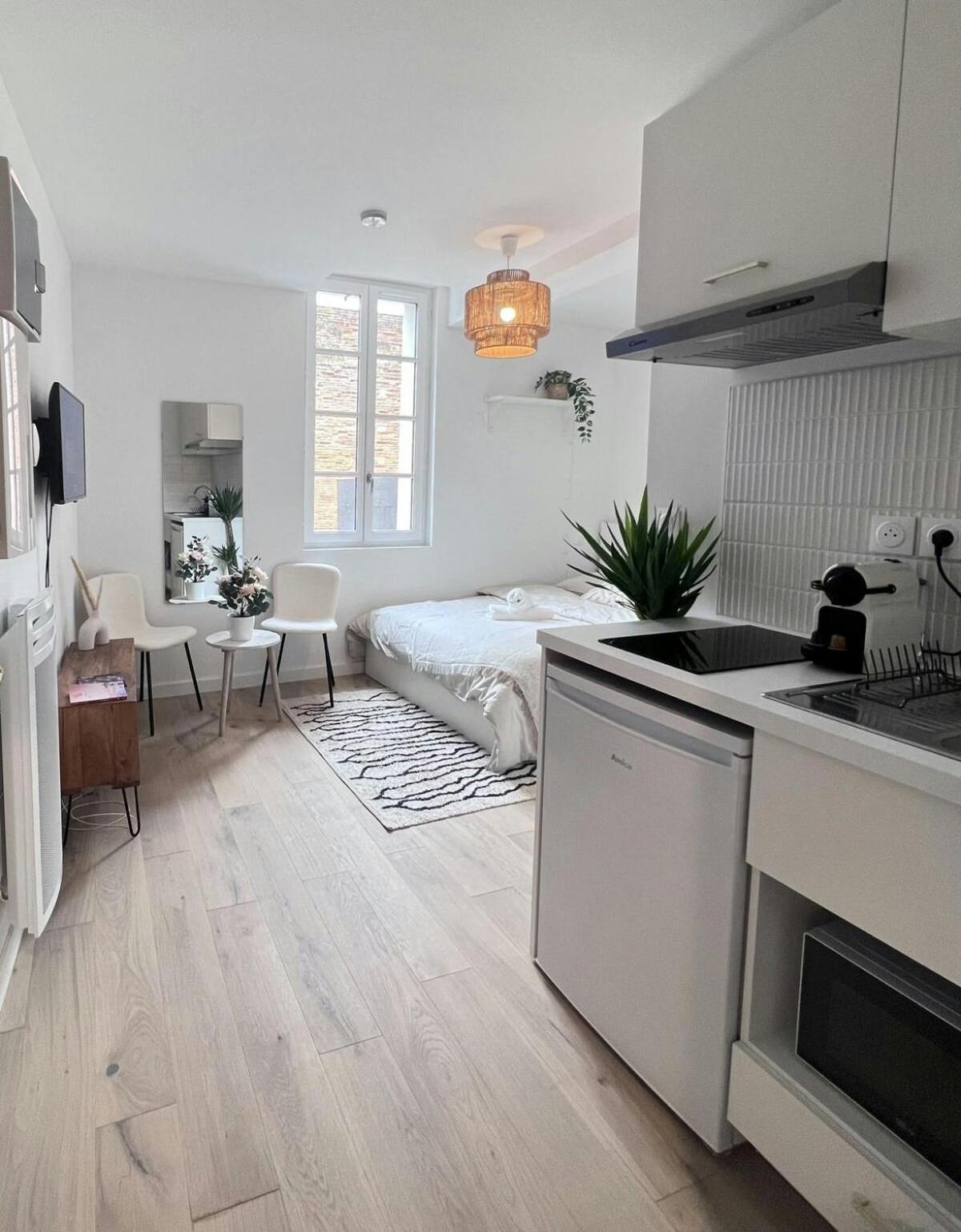 Le Saphir Apartment Toulouse Exterior photo